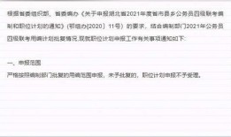 新疆爆料最新消息,揭秘神秘事件背后的真相