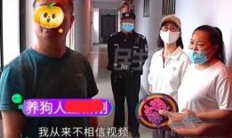 河南大事件爆料视频,揭秘视频爆料背后的惊人真相