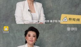 袁立采访爆料事件视频播放,揭秘娱乐圈幕后真相