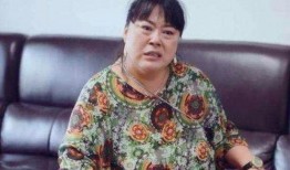 李菁菁被爆料视频,真相与争议并存
