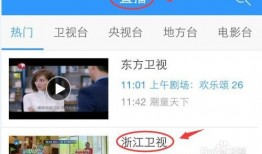 猪弟前女友爆料视频播放,揭秘背后惊人真相