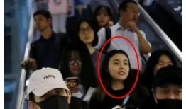 流浪大姐爆料视频大全集,揭秘社会百态与人间冷暖