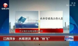 广西梧州新闻头条爆料,突发事件引发关注，详情即将揭晓