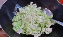 包菜脑壳爆料视频播放,揭秘幕后真相，带你走进事件核心