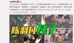 锦哥茶叶爆料视频在线观看,独家爆料视频带你领略茶艺魅力