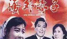 电影海外赤子在线观看,跨越国界的爱国情怀