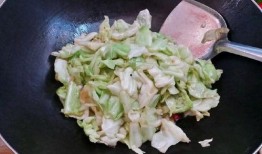 包菜脑壳爆料视频播放,揭秘幕后真相，带你走进事件核心