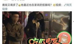 鹿氏集团爆料事件视频播放,揭秘企业内部惊人真相