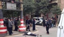 肇东最新爆料事件新闻,事件真相逐步浮出水面