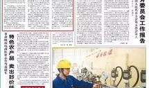 装修今日爆料新闻报道文案,揭秘今日装修热点动态