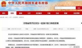 猪瘟最新爆料消息通知,揭秘病毒传播途径与防控措施