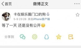 吃瓜福利爆料免费,免费畅享的神秘世界大揭秘！