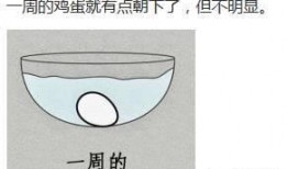 鸡蛋真实爆料视频,真实爆料视频曝光