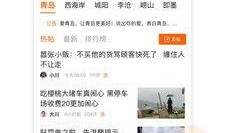 青岛新闻爆料投稿平台,聚焦城市脉搏，共筑美好家园