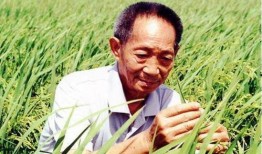 国外爆料袁隆平视频完整版