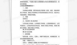 策划最新爆料案例范文怎么写,揭秘幕后故事与策略解析