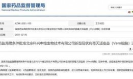 热点新闻爆料1分钟视频,热点新闻爆料视频精彩内容回顾