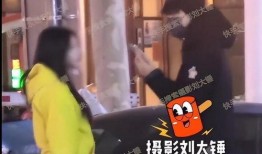 赵一博给刘大锤爆料视频,视频爆料引发热议