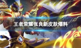 王者赛季新皮肤爆料最新,王者赛季新皮肤惊艳亮相，神秘英雄即将登场