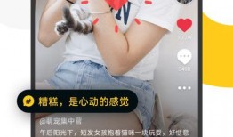 最新爆料小视频下载,下载背后的惊人真相