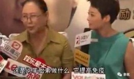袁立采访爆料事件视频播放,揭秘娱乐圈幕后真相